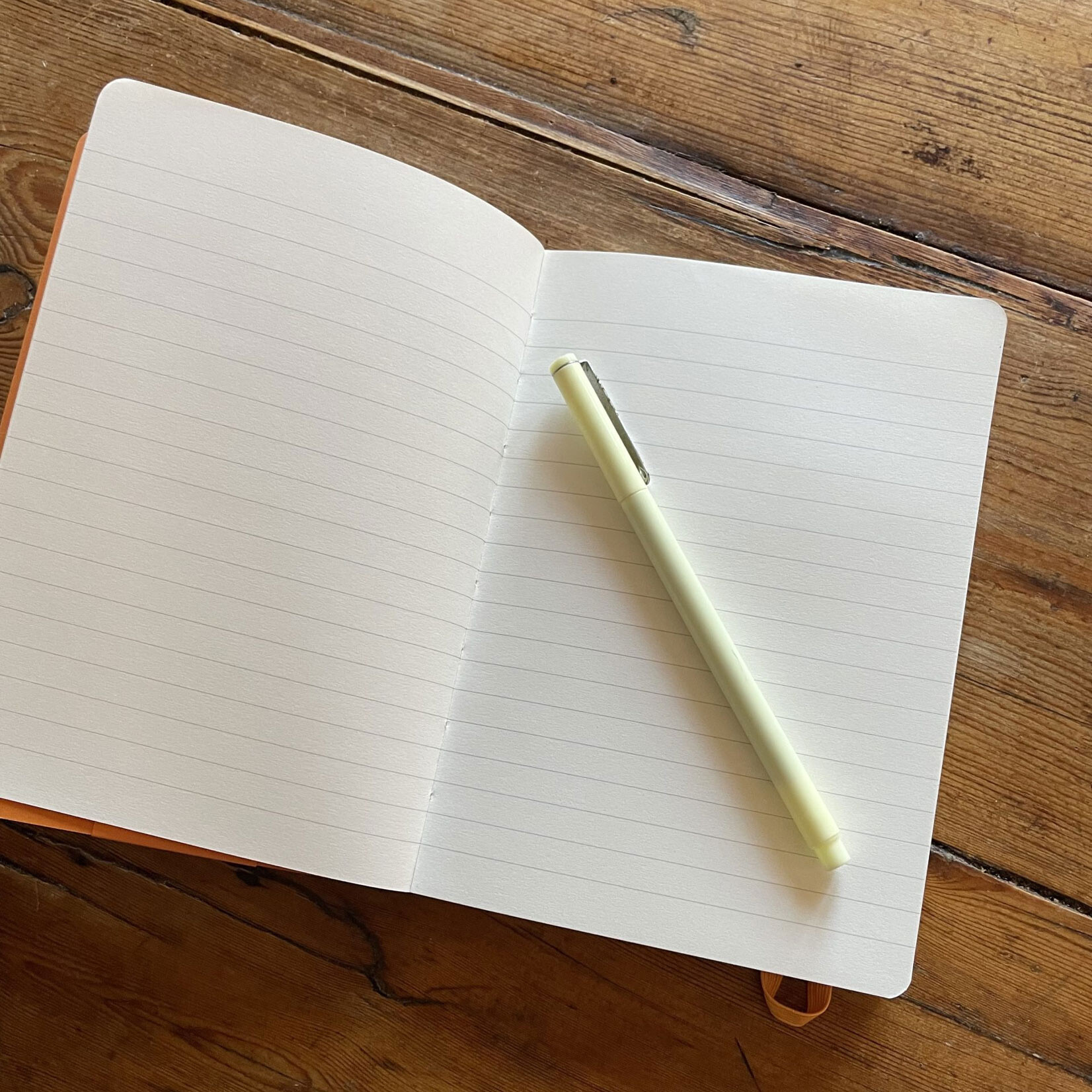 Museums & Galleries Hardcover Journal - Blackberry Picking