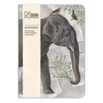Museums & Galleries Softcover Notebook - Natural History Elephant