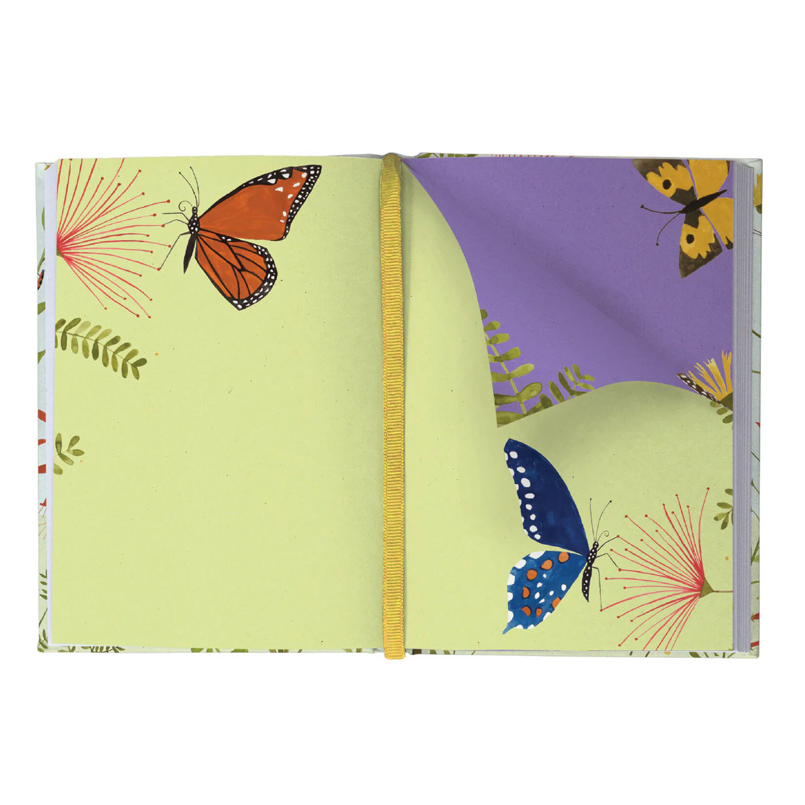 Roger la Borde Illustrated Journal - Hummingbird