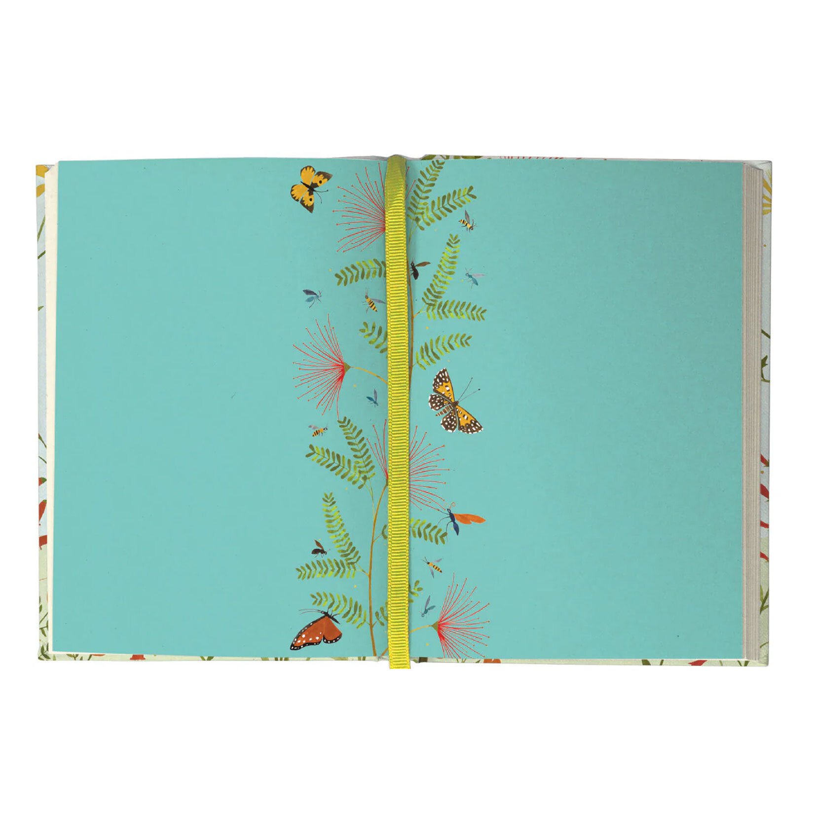 Roger la Borde Illustrated Journal - Hummingbird