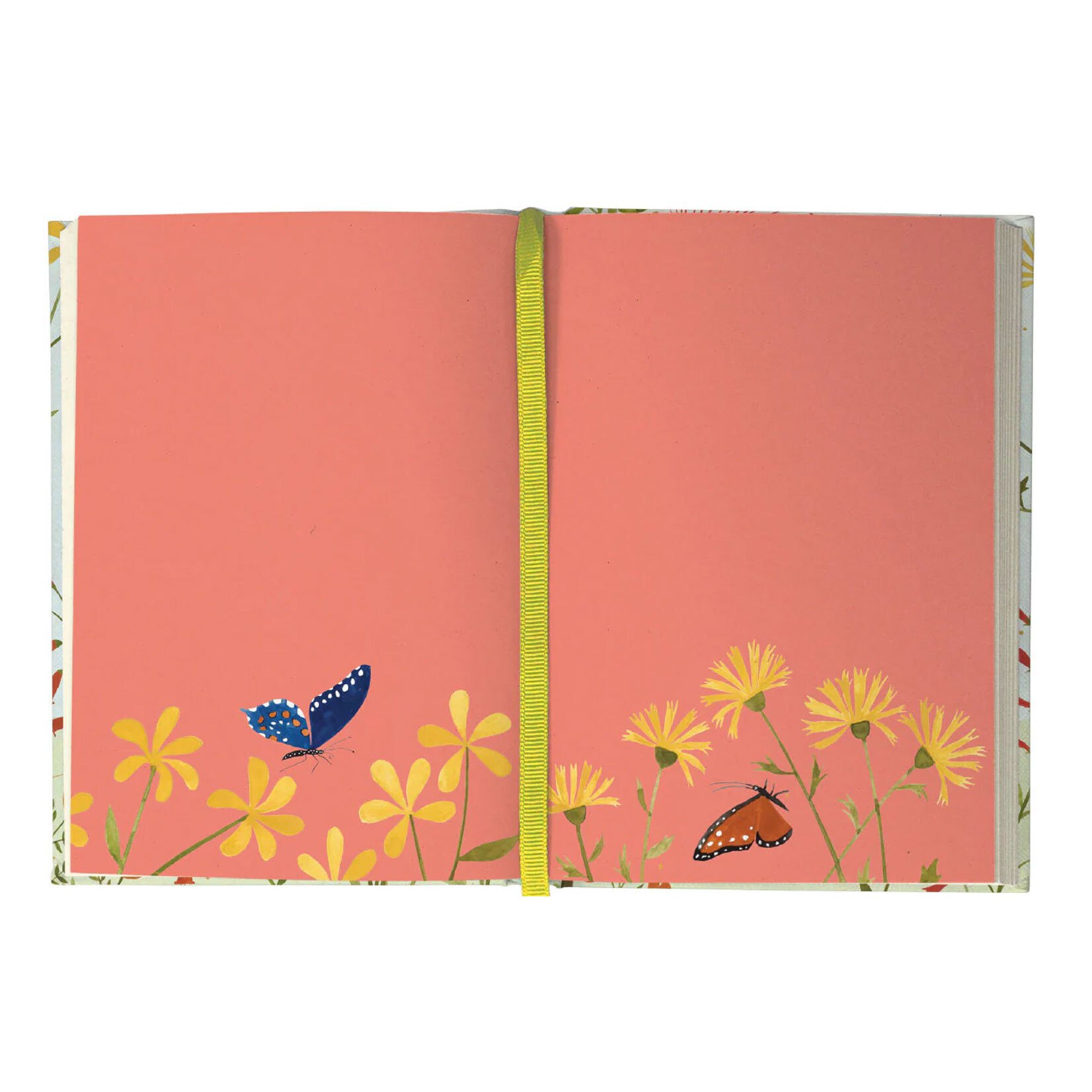 Roger la Borde Illustrated Journal - Hummingbird