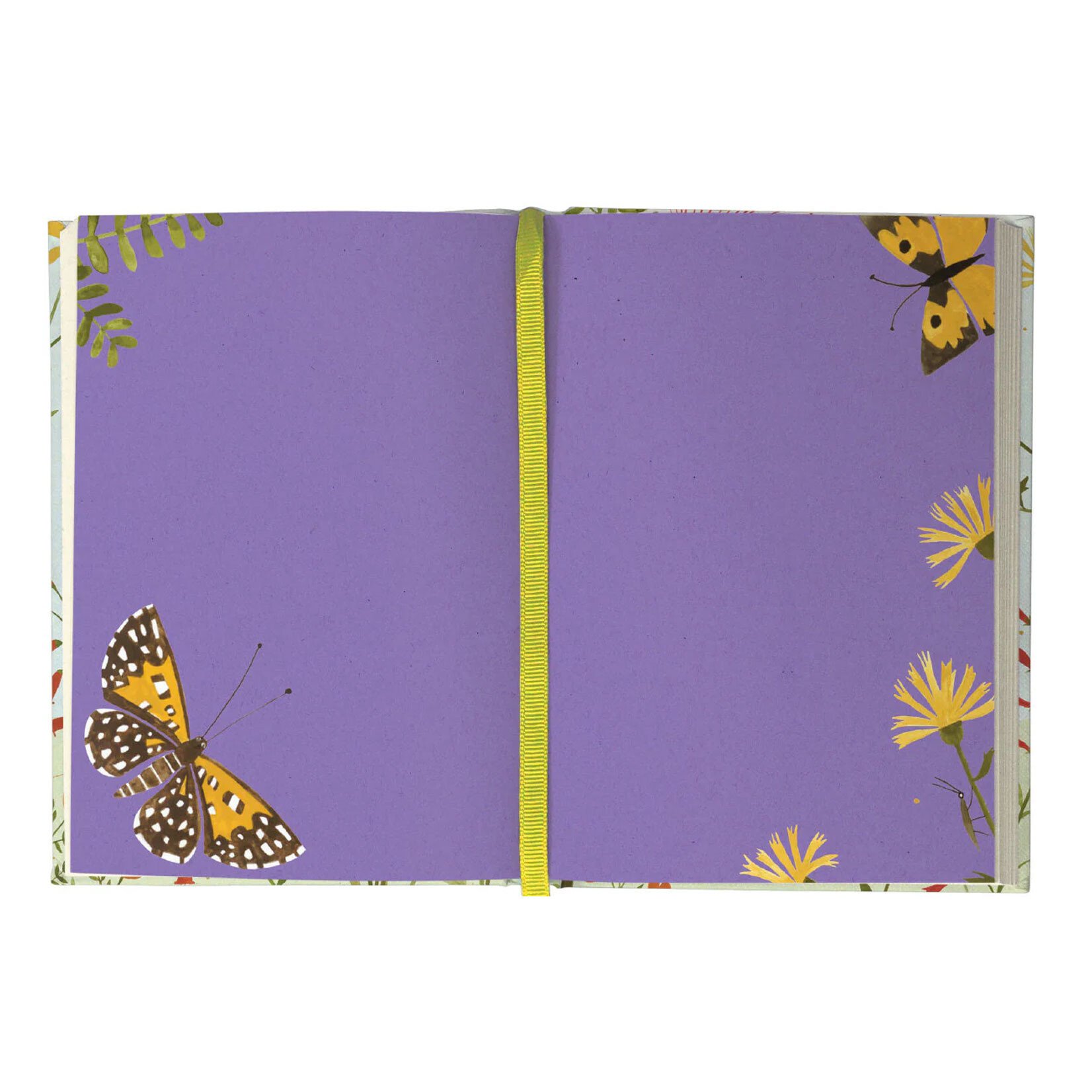 Roger la Borde Illustrated Journal - Hummingbird