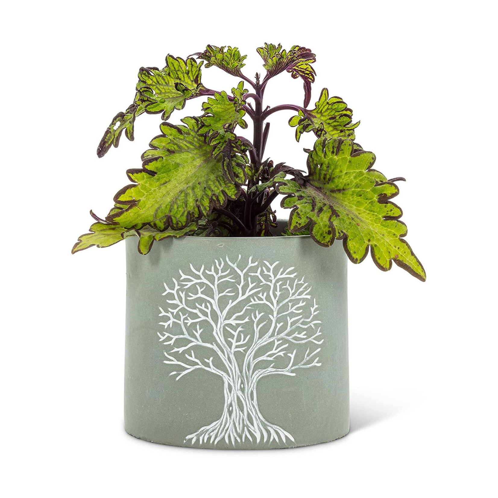 Abbott Cement Planter - Tree of Life (Small / Large)