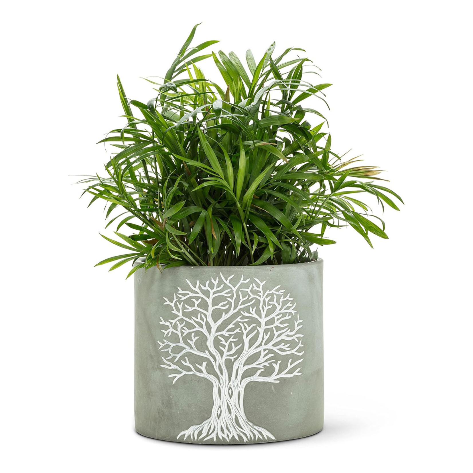 Abbott Cement Planter - Tree of Life (Small / Large)
