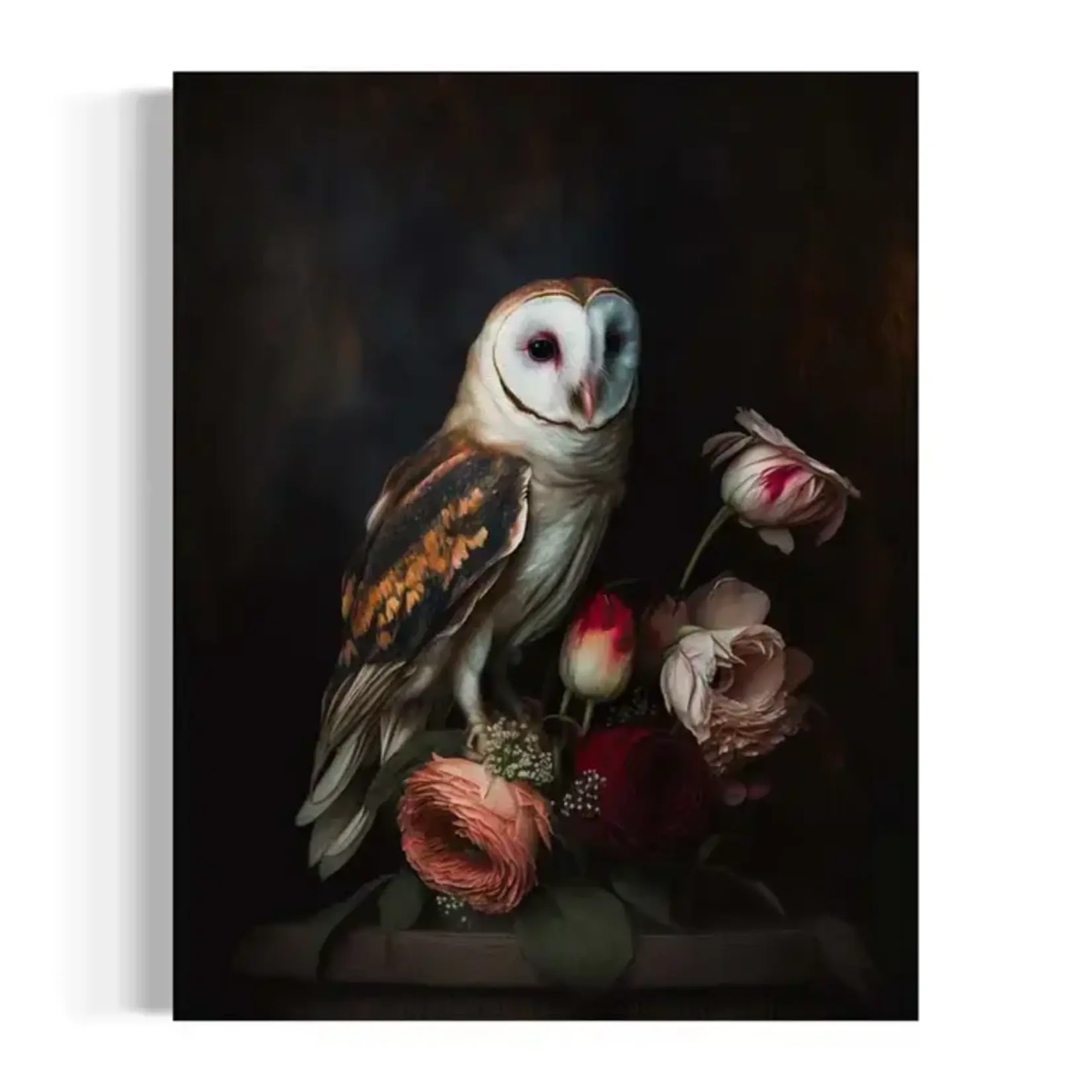 Salty Alyce Wall Decor - Owl Black and Gold