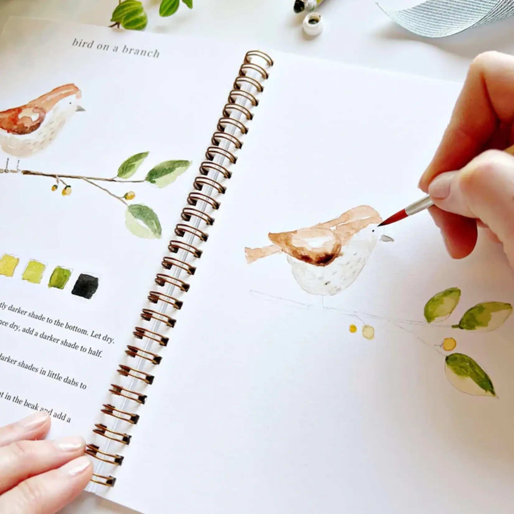 Emily Lex Studio Watercolor Workbook - Animals