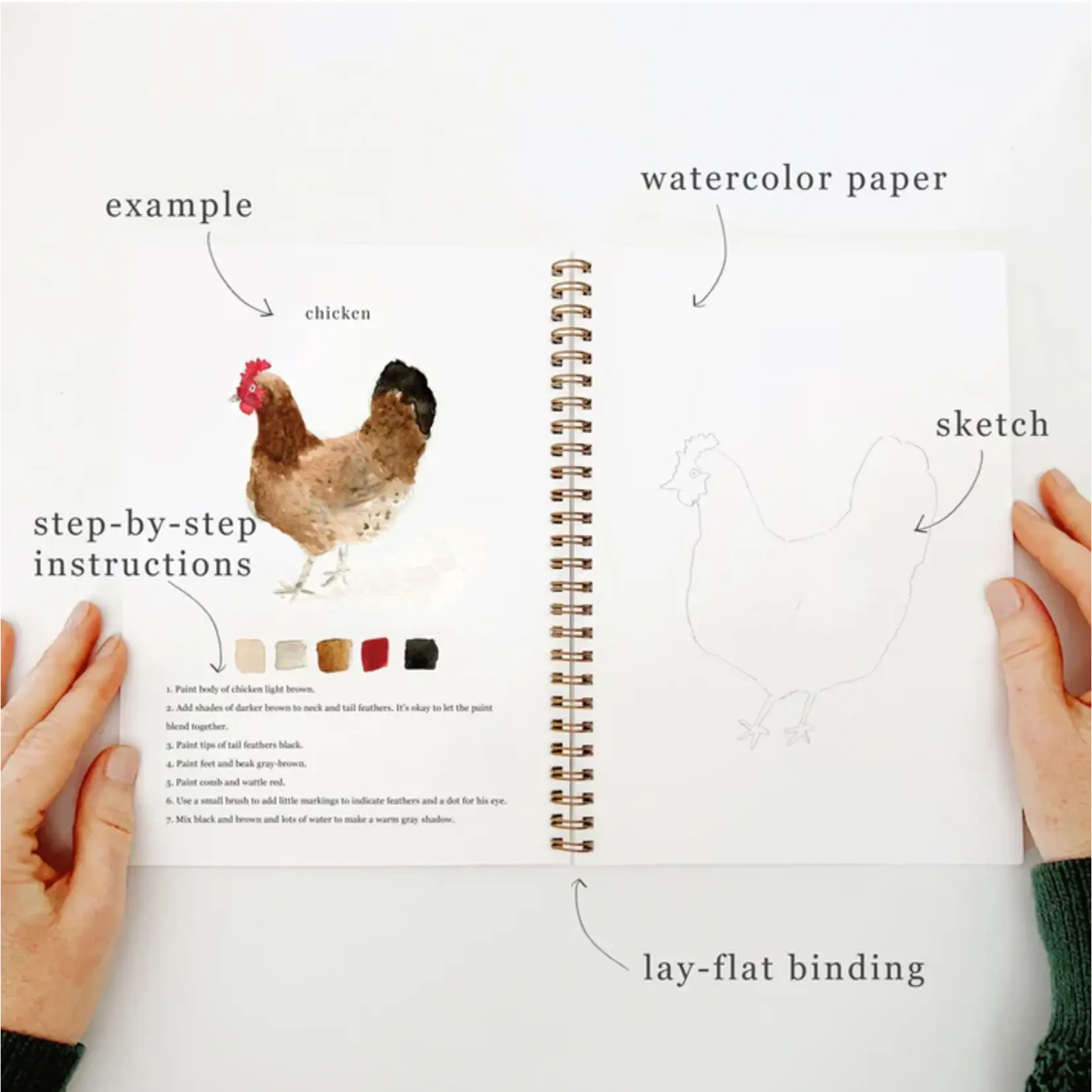 Emily Lex Studio Watercolor Workbook - Animals