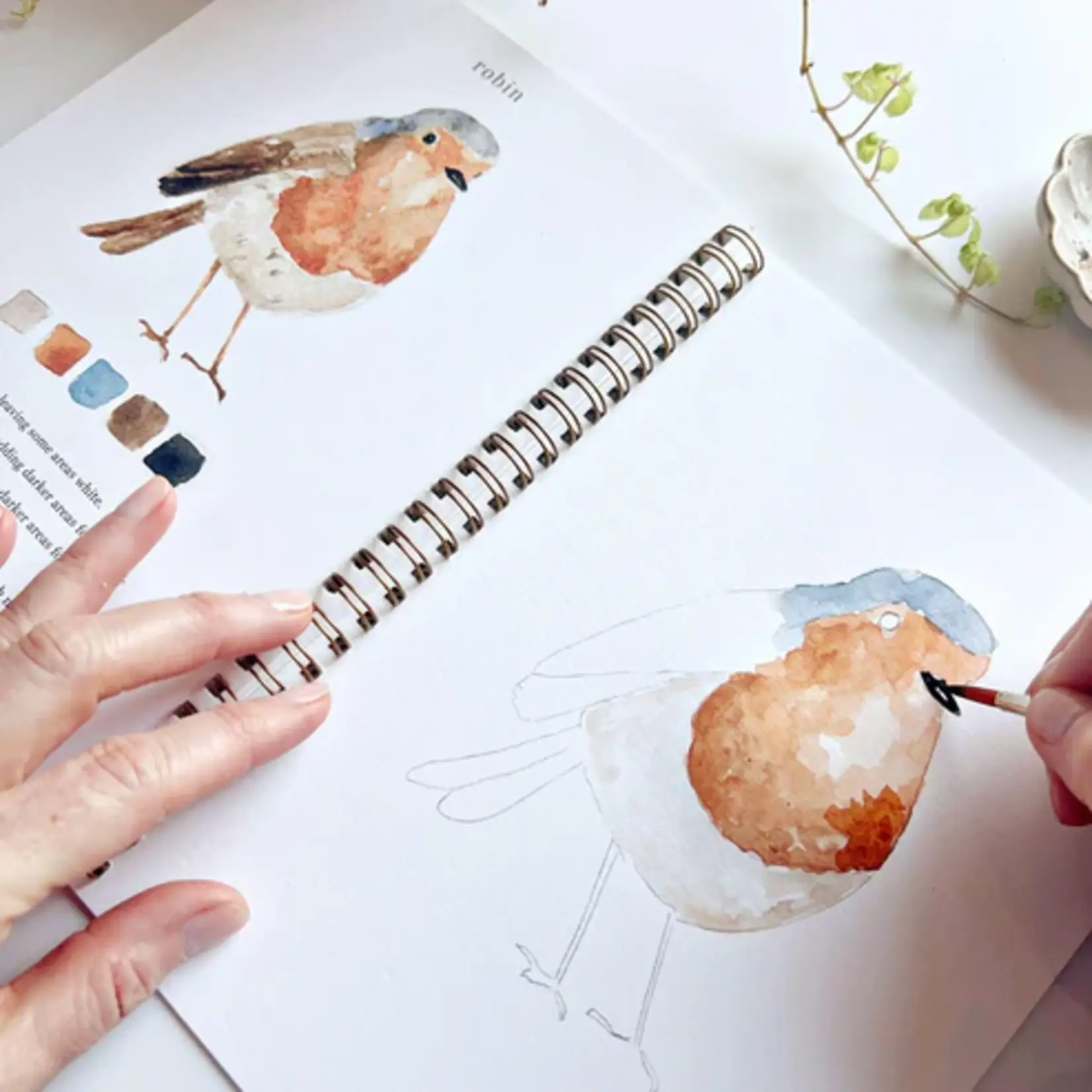 Emily Lex Studio Watercolor Workbook - Birds