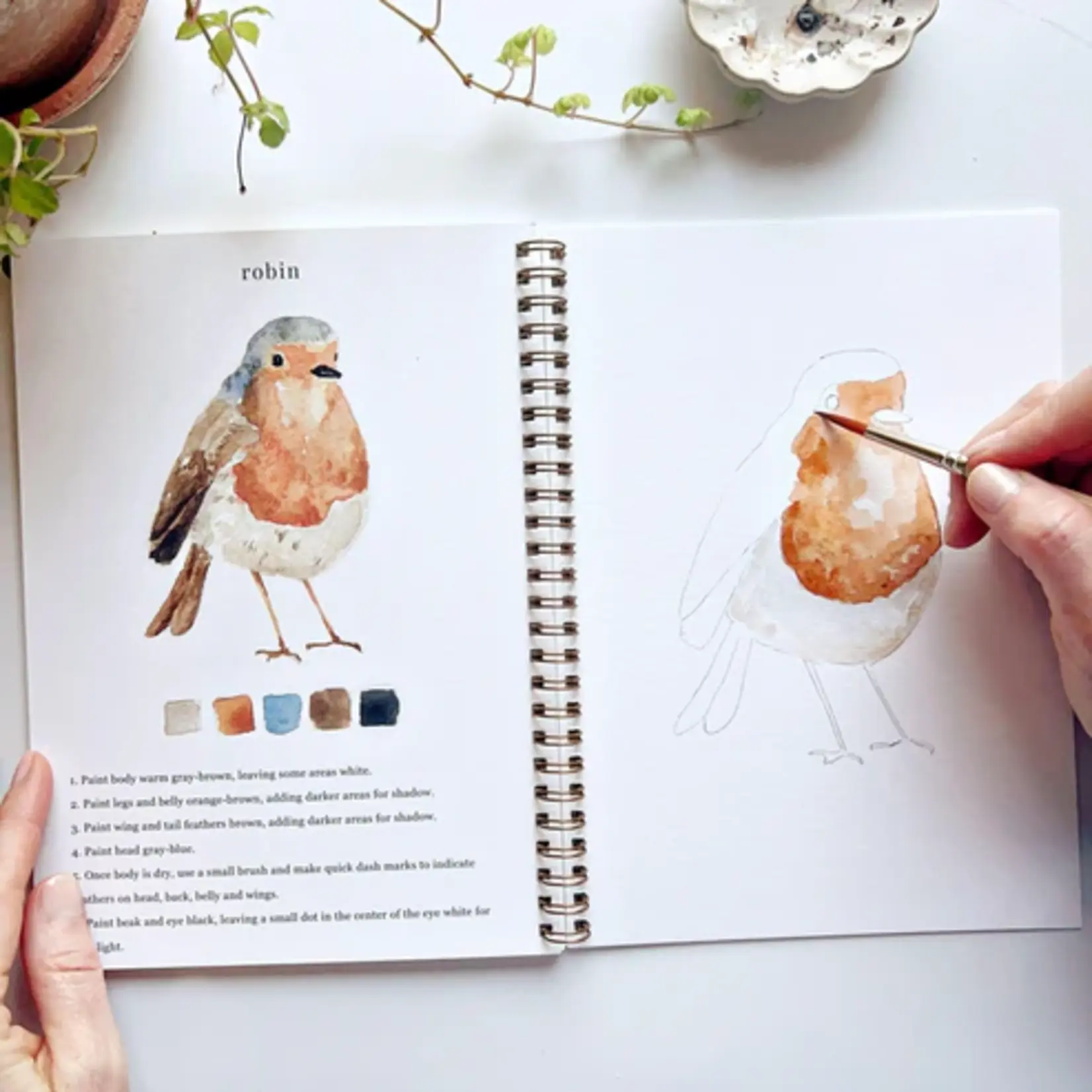 Emily Lex Studio Watercolor Workbook - Birds