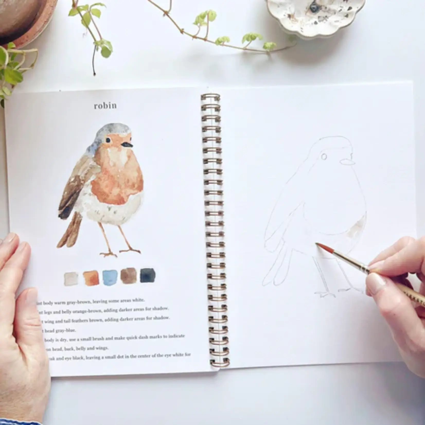 Emily Lex Studio Watercolor Workbook - Birds