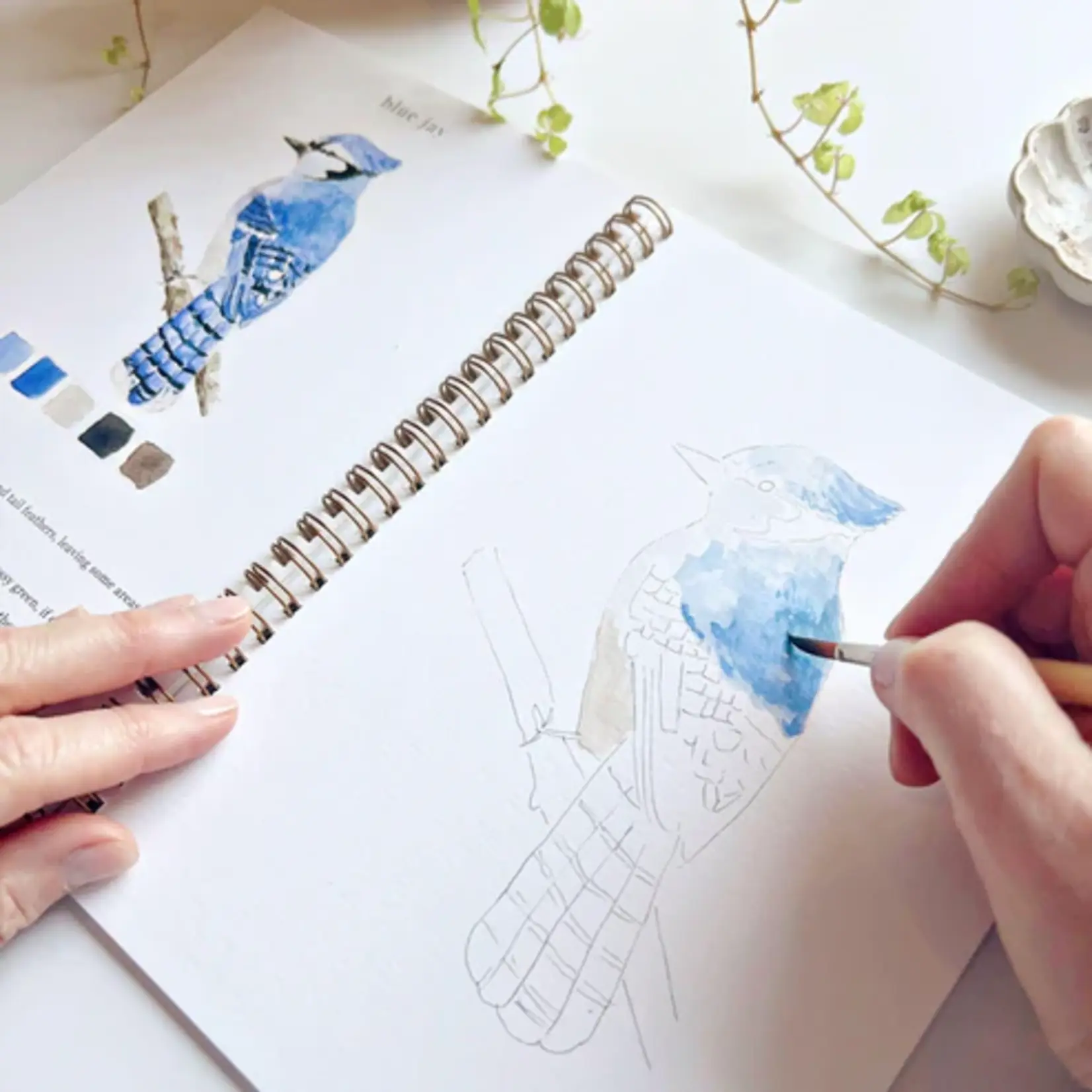 Emily Lex Studio Watercolor Workbook - Birds