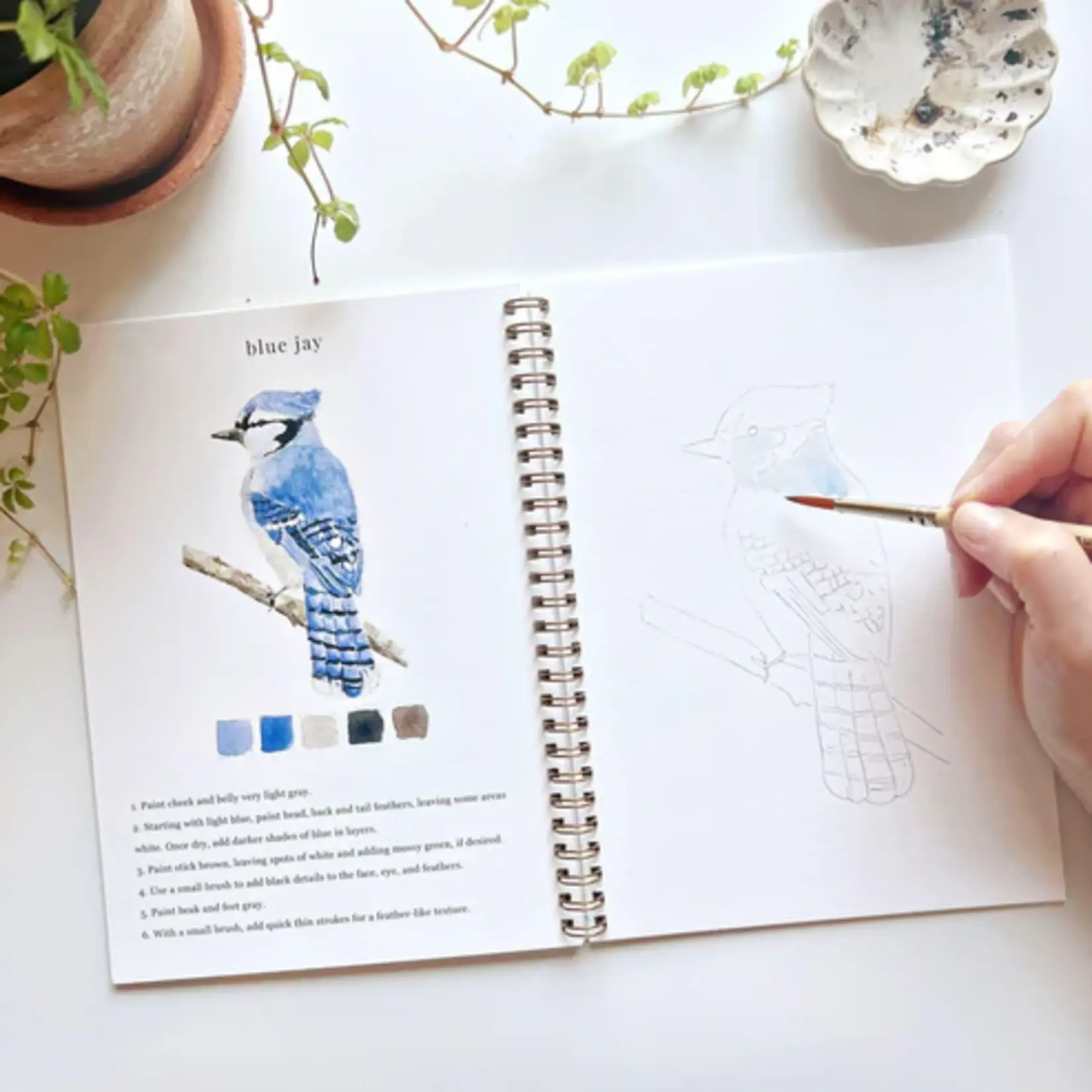 Emily Lex Studio Watercolor Workbook - Birds