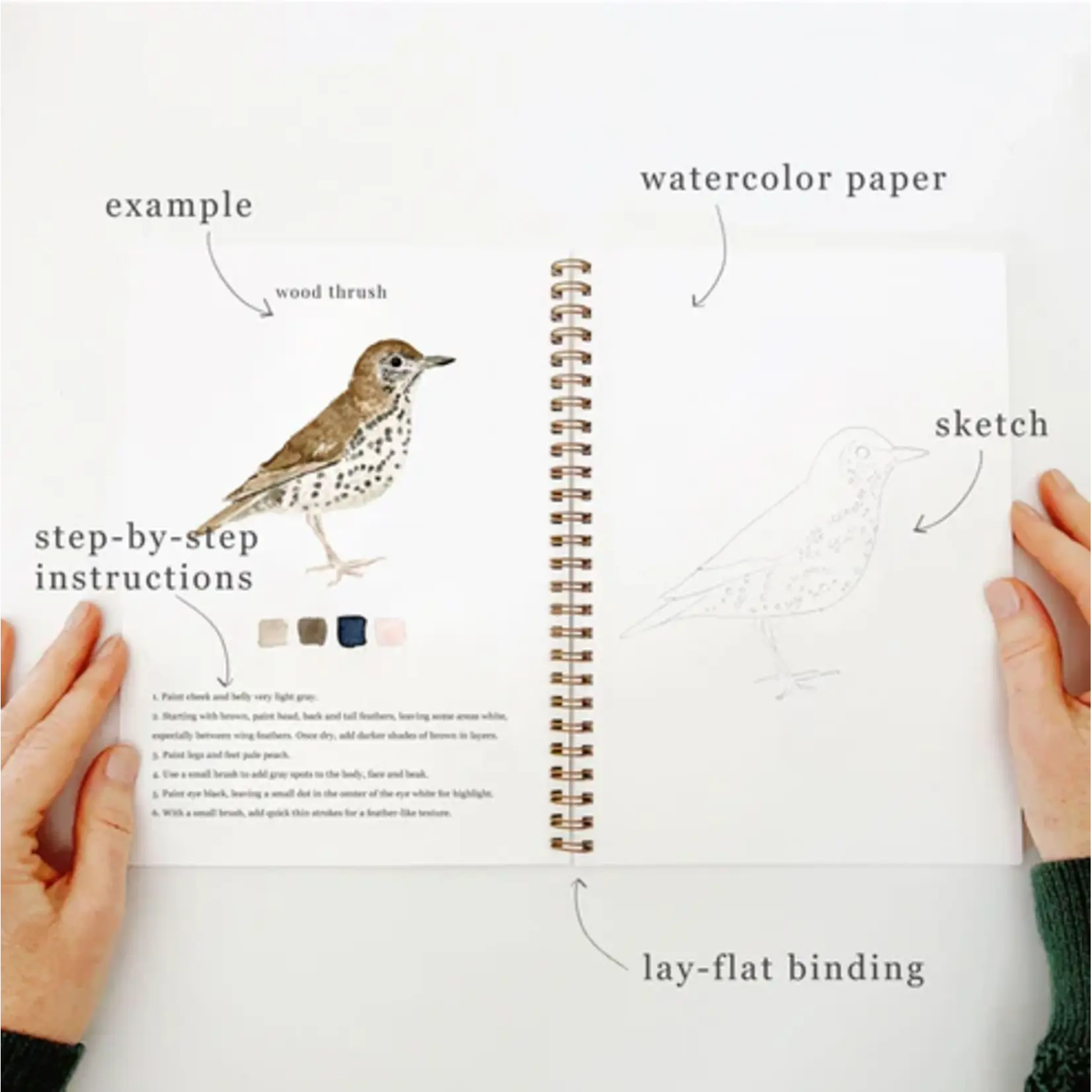 Emily Lex Studio Watercolor Workbook - Birds