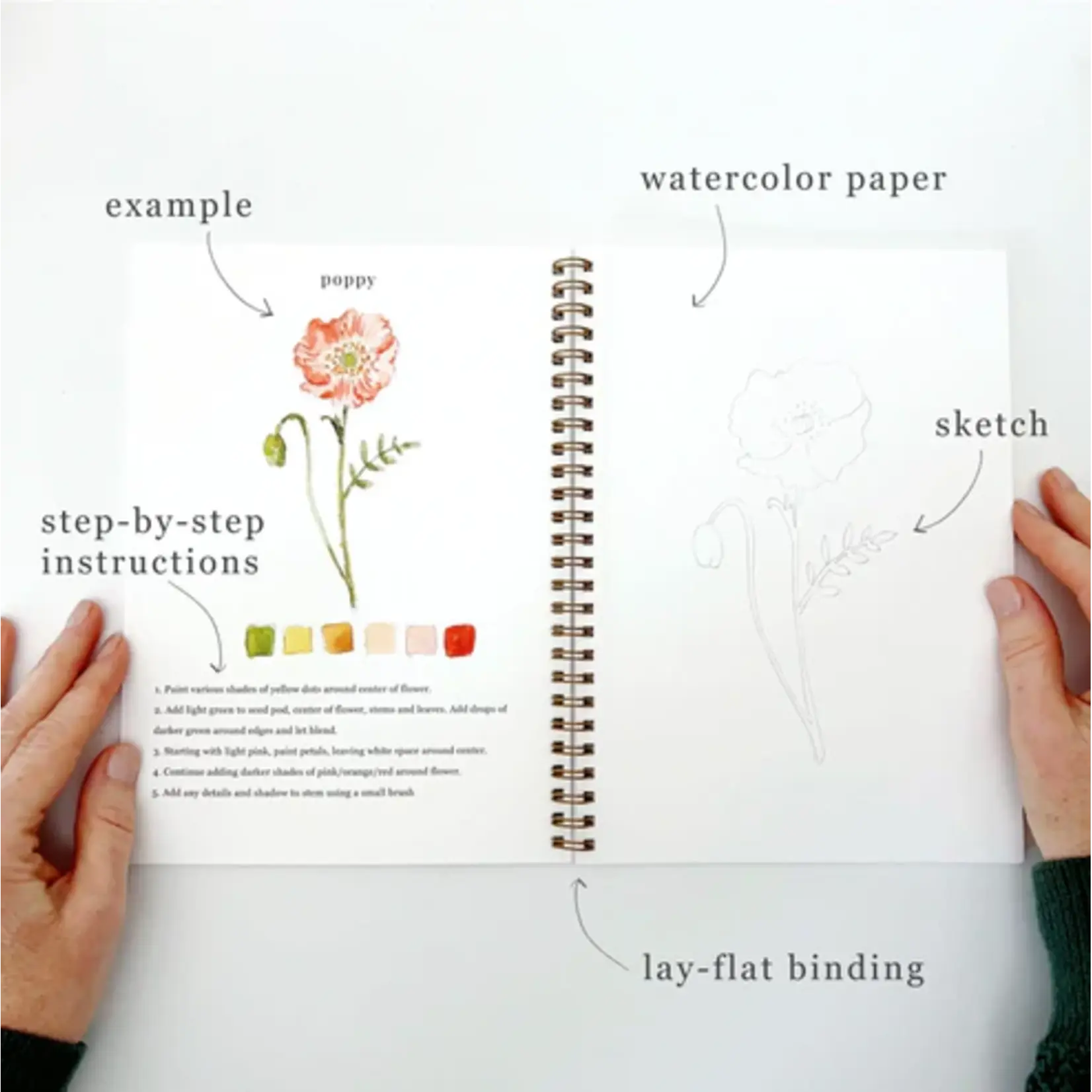 Emily Lex Studio Watercolor Workbook - Flowers