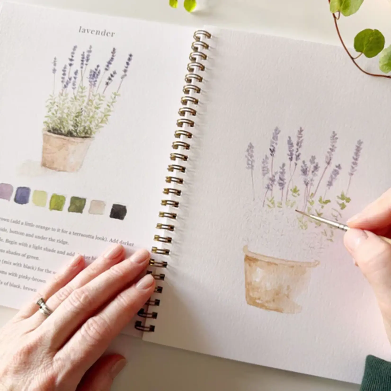 Emily Lex Studio Watercolor Workbook - Garden