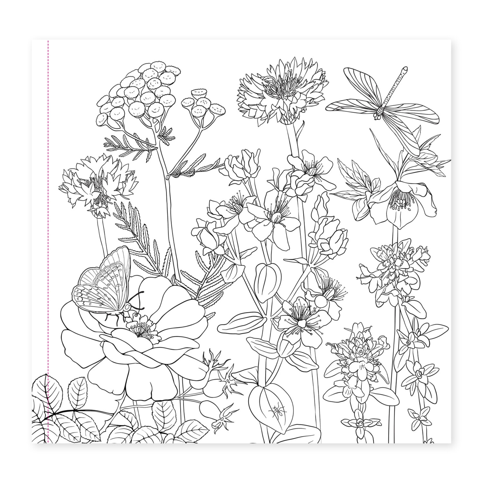 Peter Pauper Press Artist's Coloring Book - Wildflowers