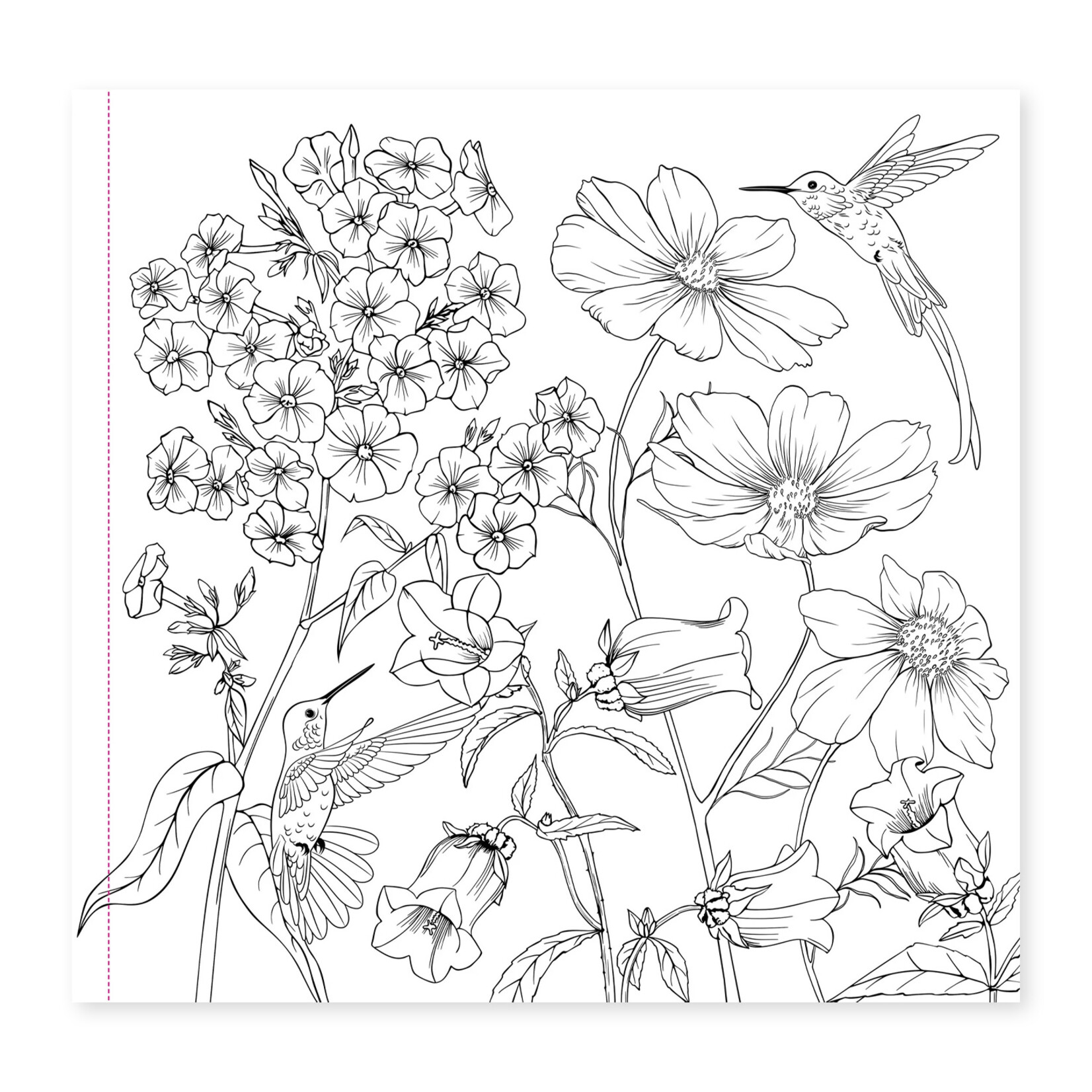 Peter Pauper Press Artist's Coloring Book - Wildflowers