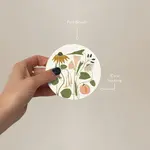 Coaster - Seedlings -