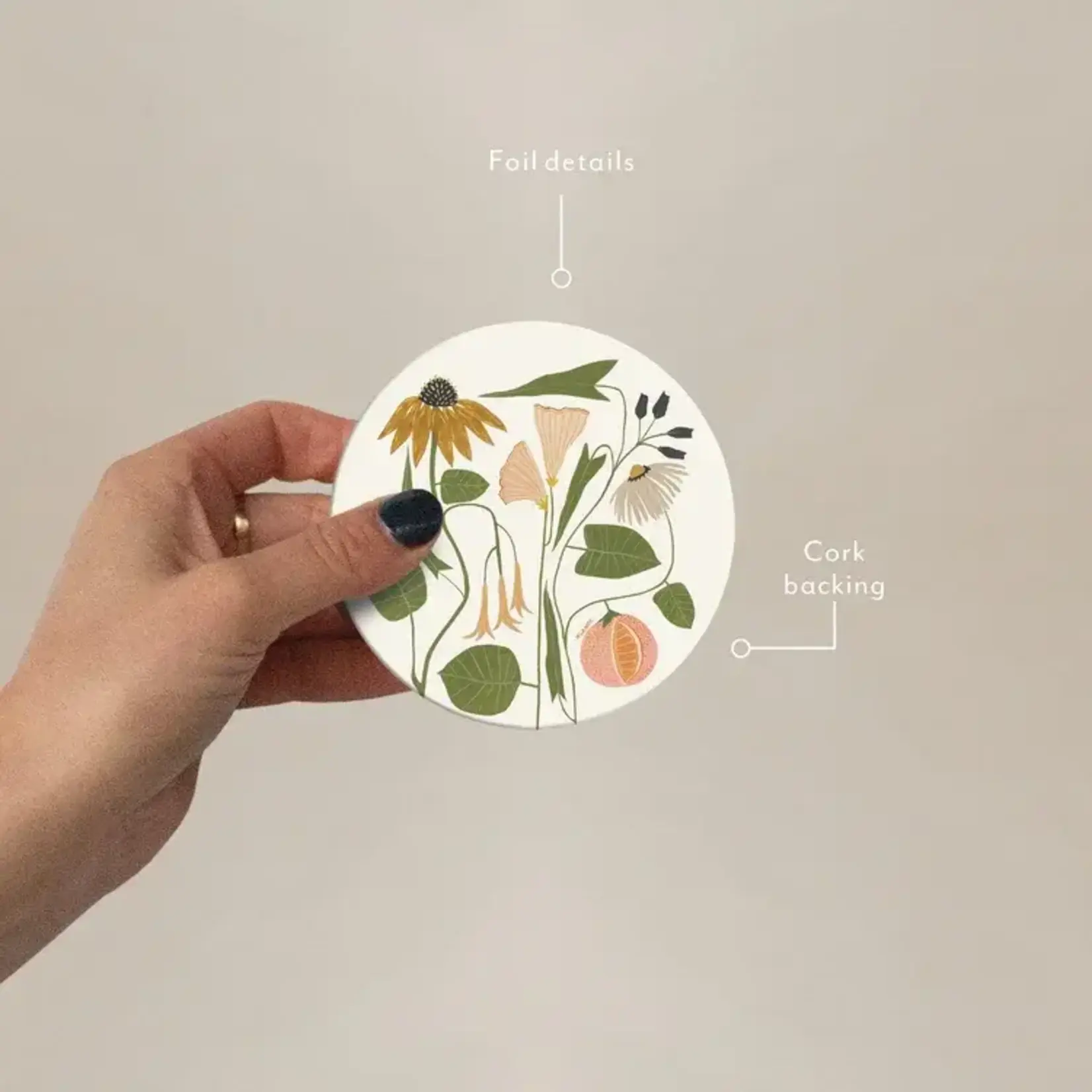 Coaster - Seedlings -