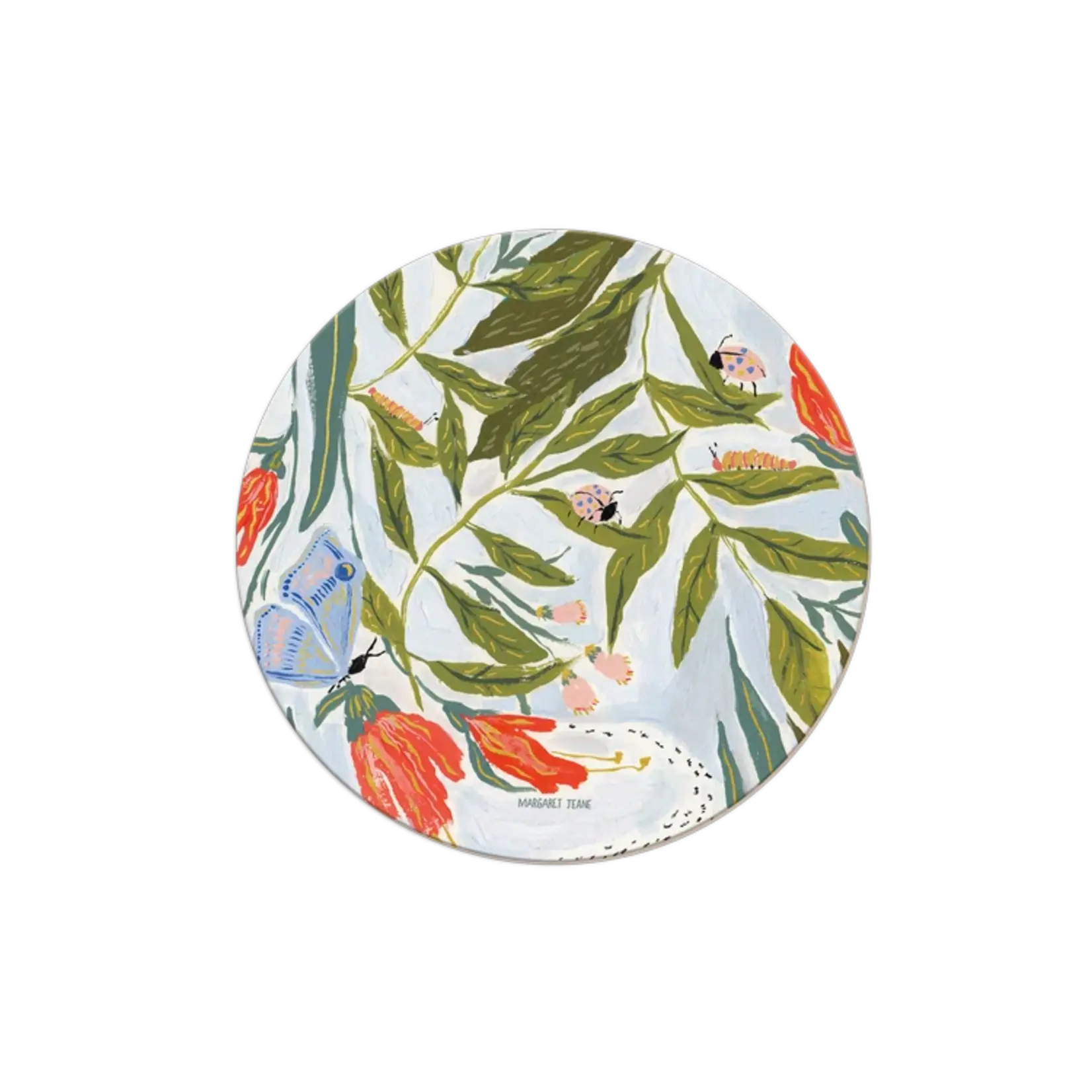Coaster - Seedlings -