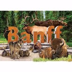 Magnet - Banff Sign (Wildlife)