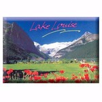 Magnet - Lake Louise - Poppies