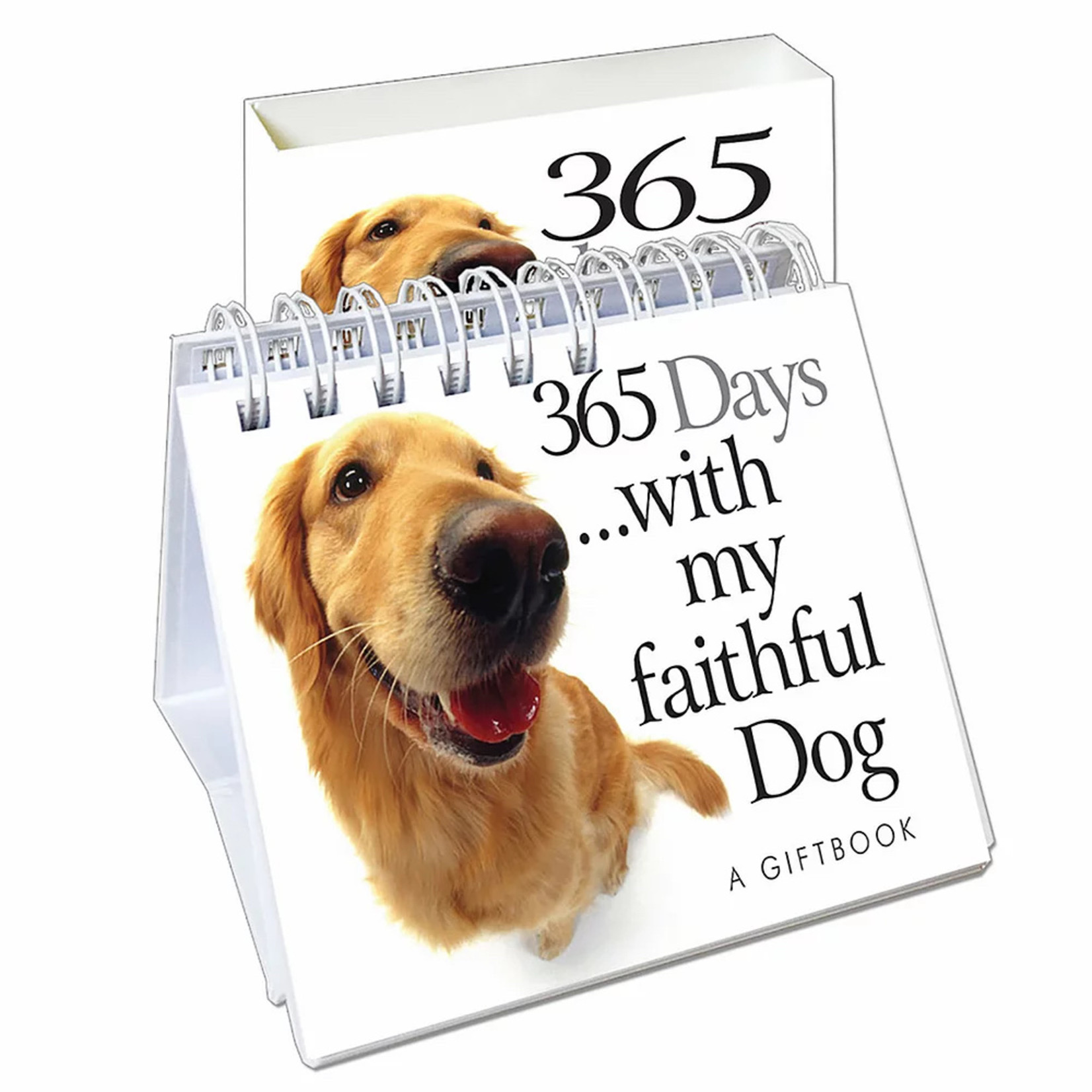 Helen Exley 365 Days - Dog