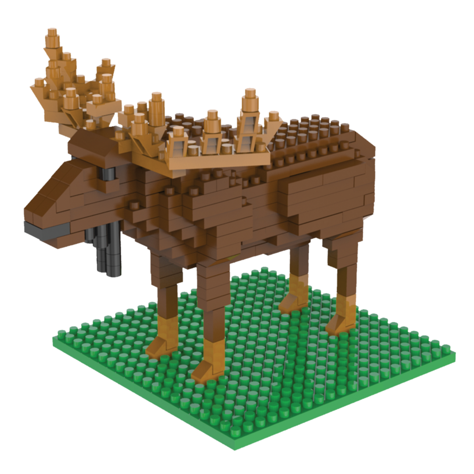 Building Blocks - Moose