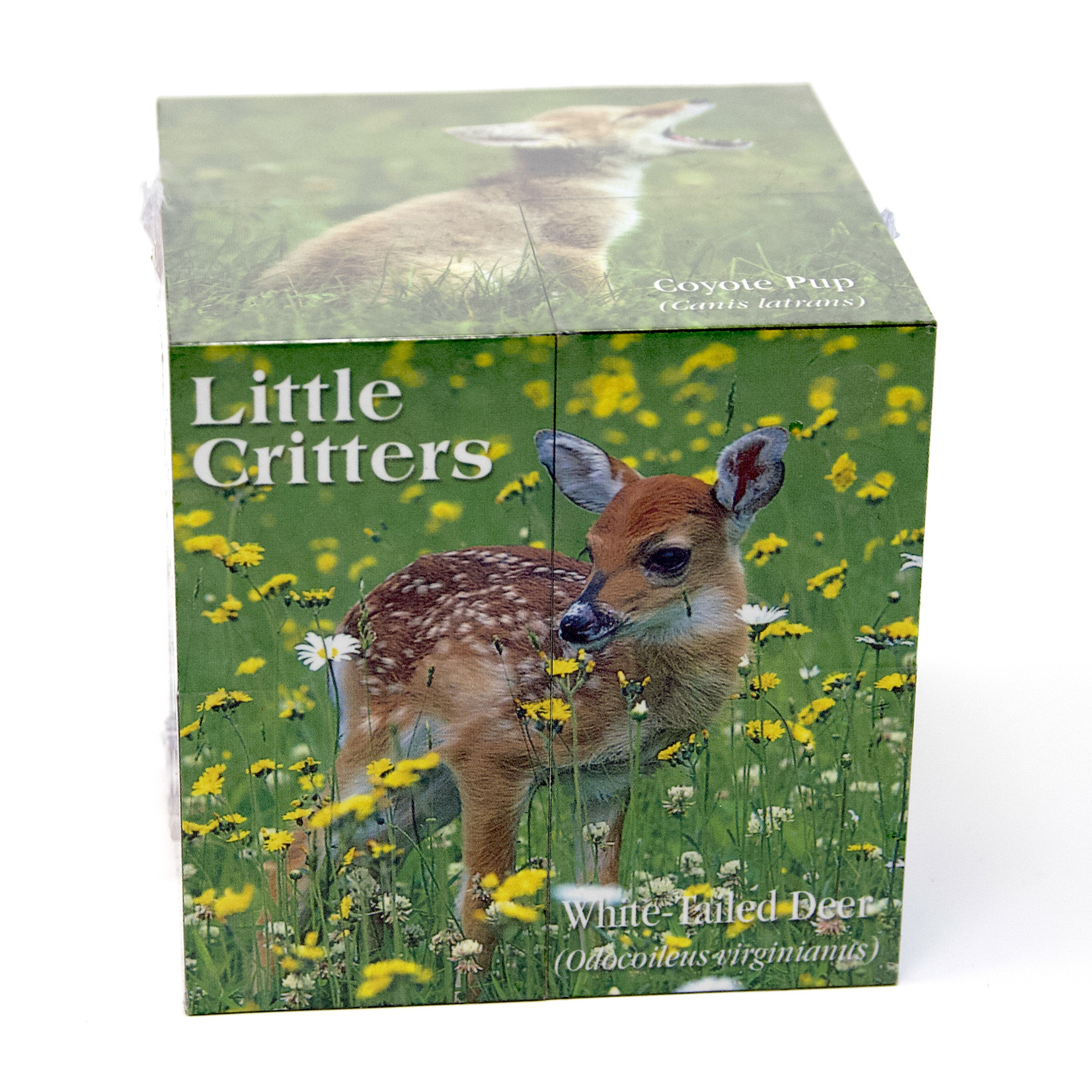 Photo Cube - Little Critters
