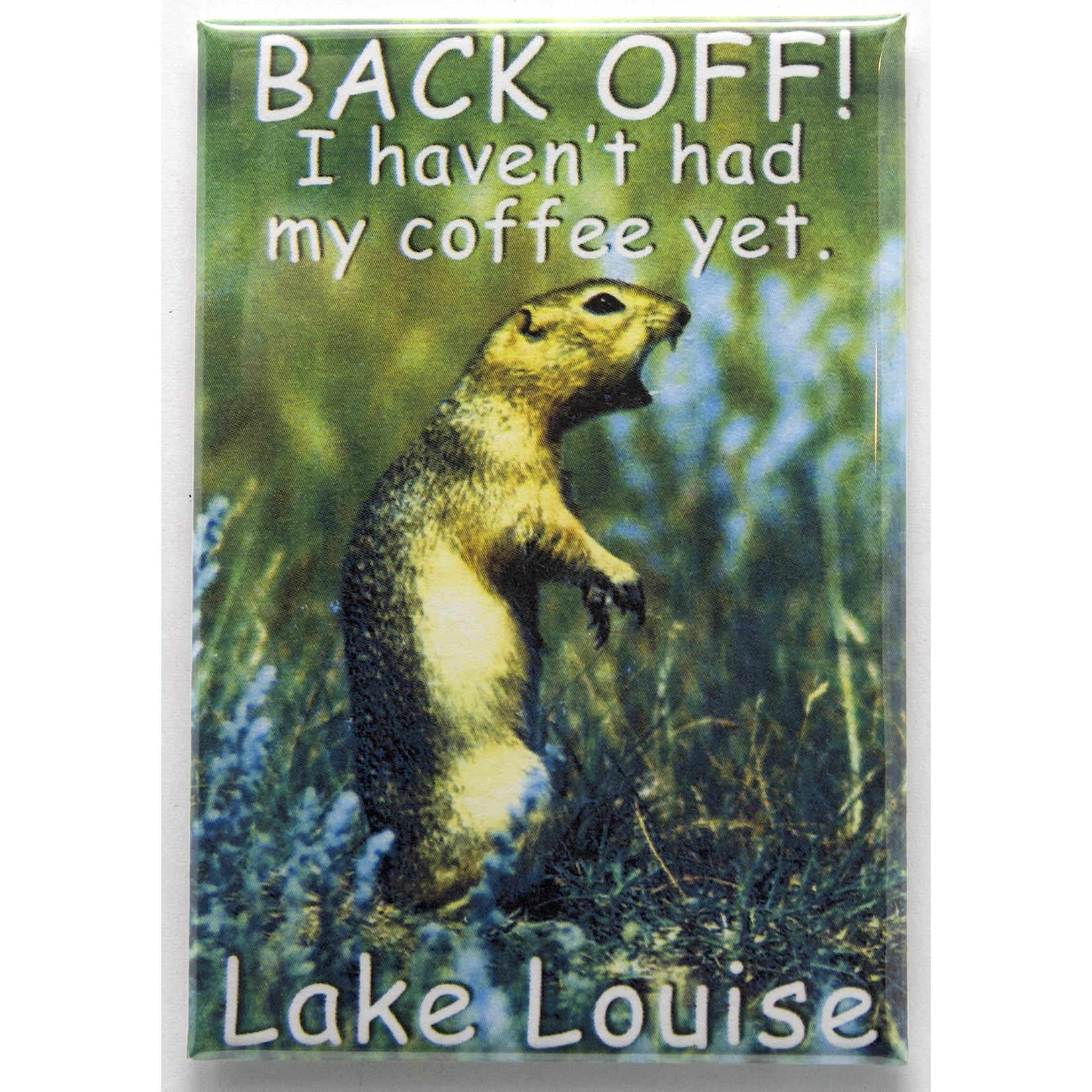 Magnet - Lake Louise, Squirrel, Back Off!
