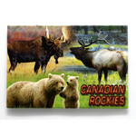 Magnet - Canadian Rockies (Wildlife)