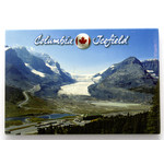 Magnet - Columbia Icefield Aerial View