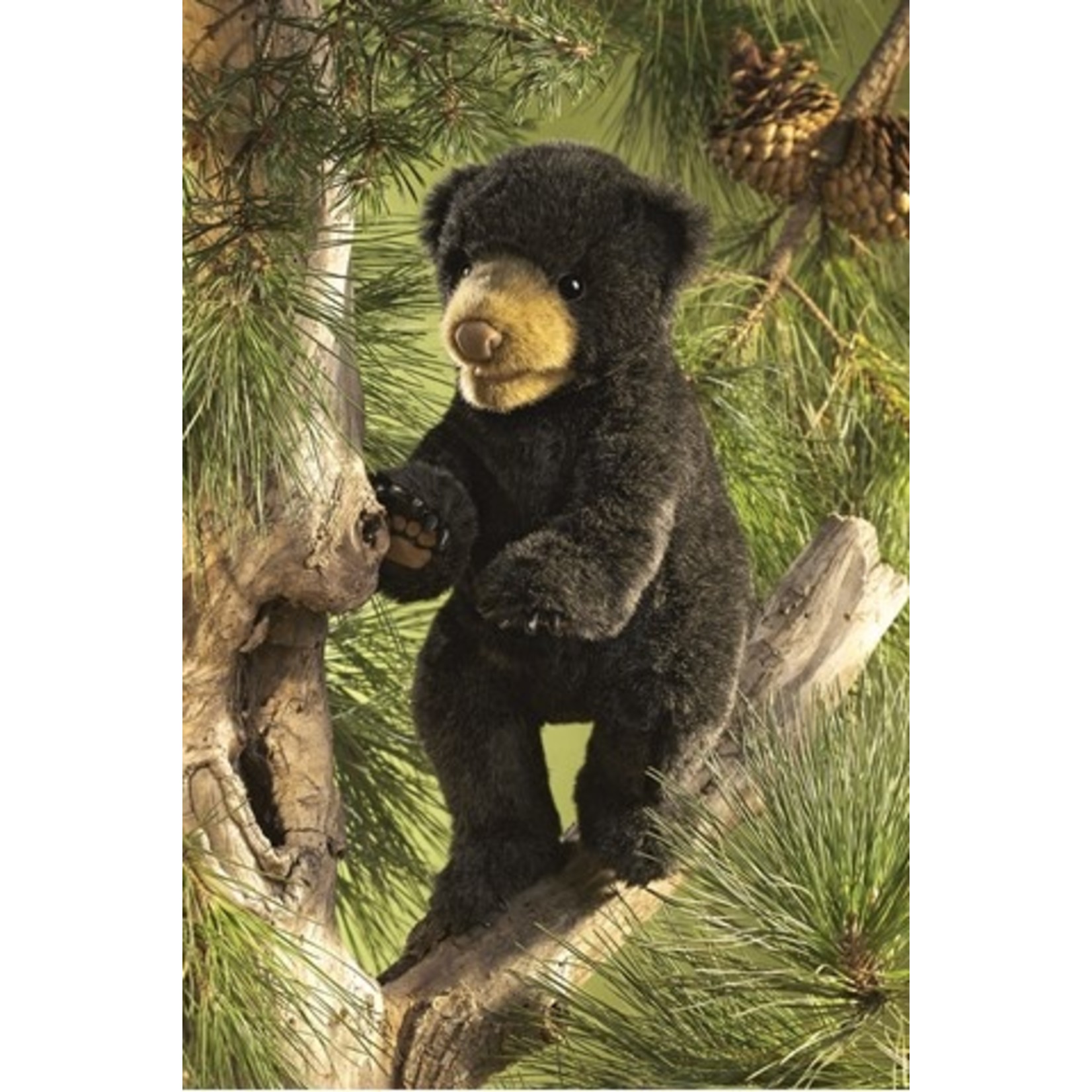 Folkmanis Puppets Puppet - Black Bear Cub
