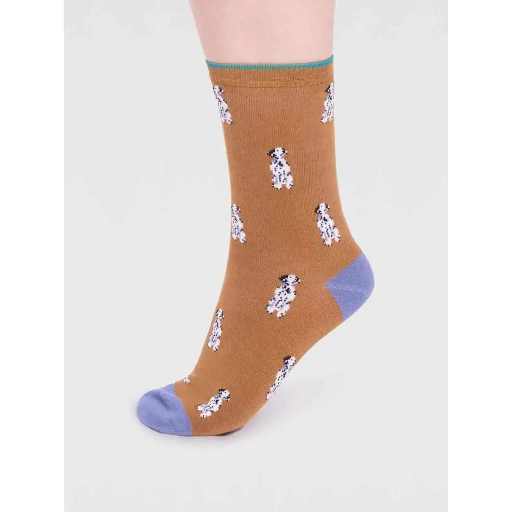 Thought Socks - Kenna Dog