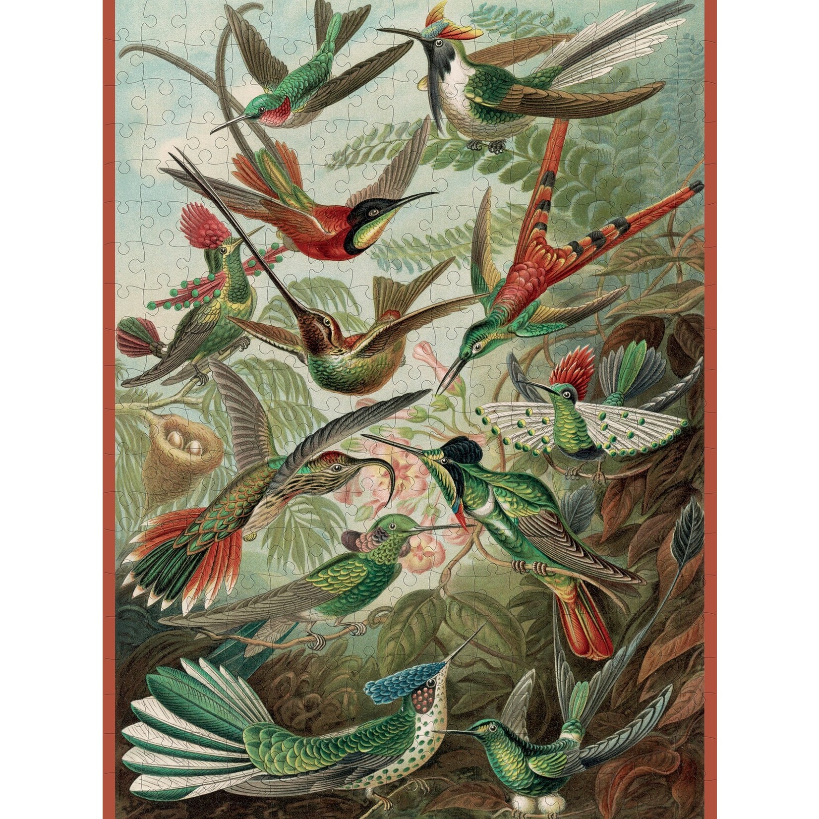 Puzzle - Haeckel - Hummingbirds