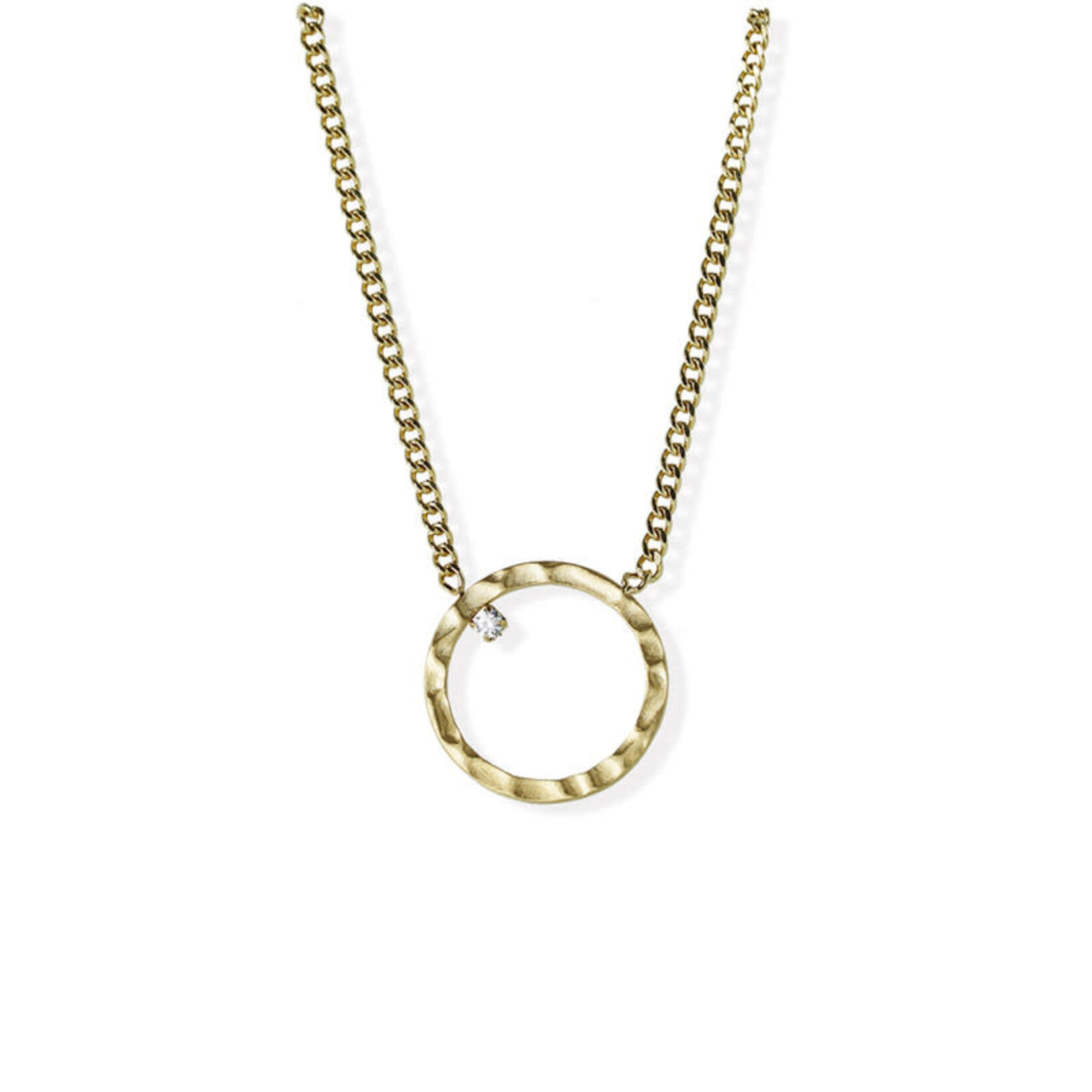 FAB Accessories Hammered Circle Necklace -