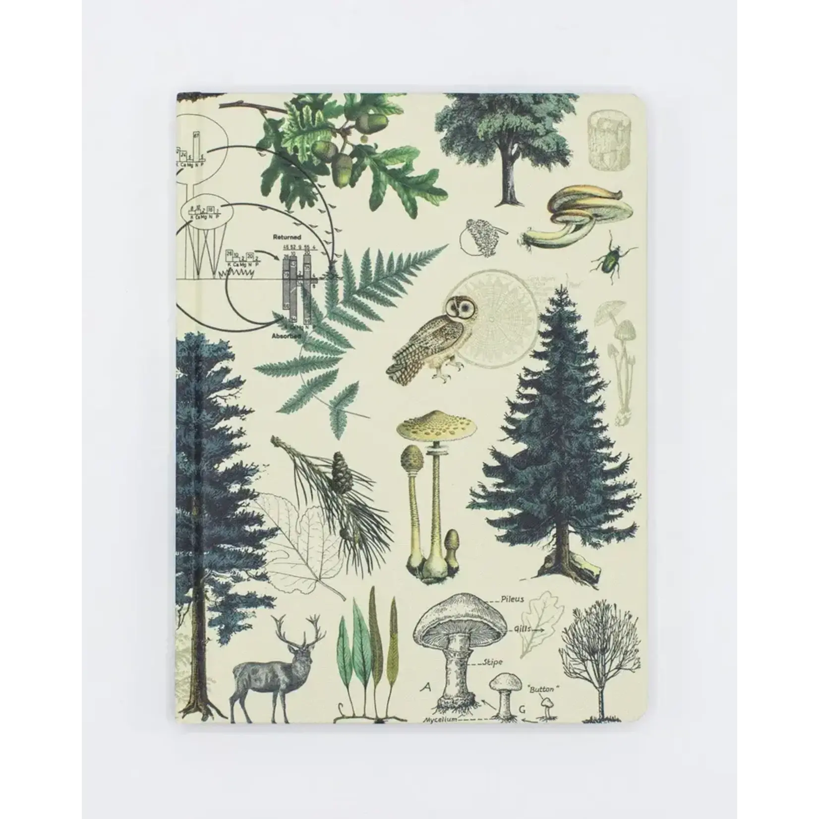 Cognitive Surplus Blank Notebook - Forest