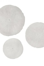 Style In Form SIF Sand Dollar Large