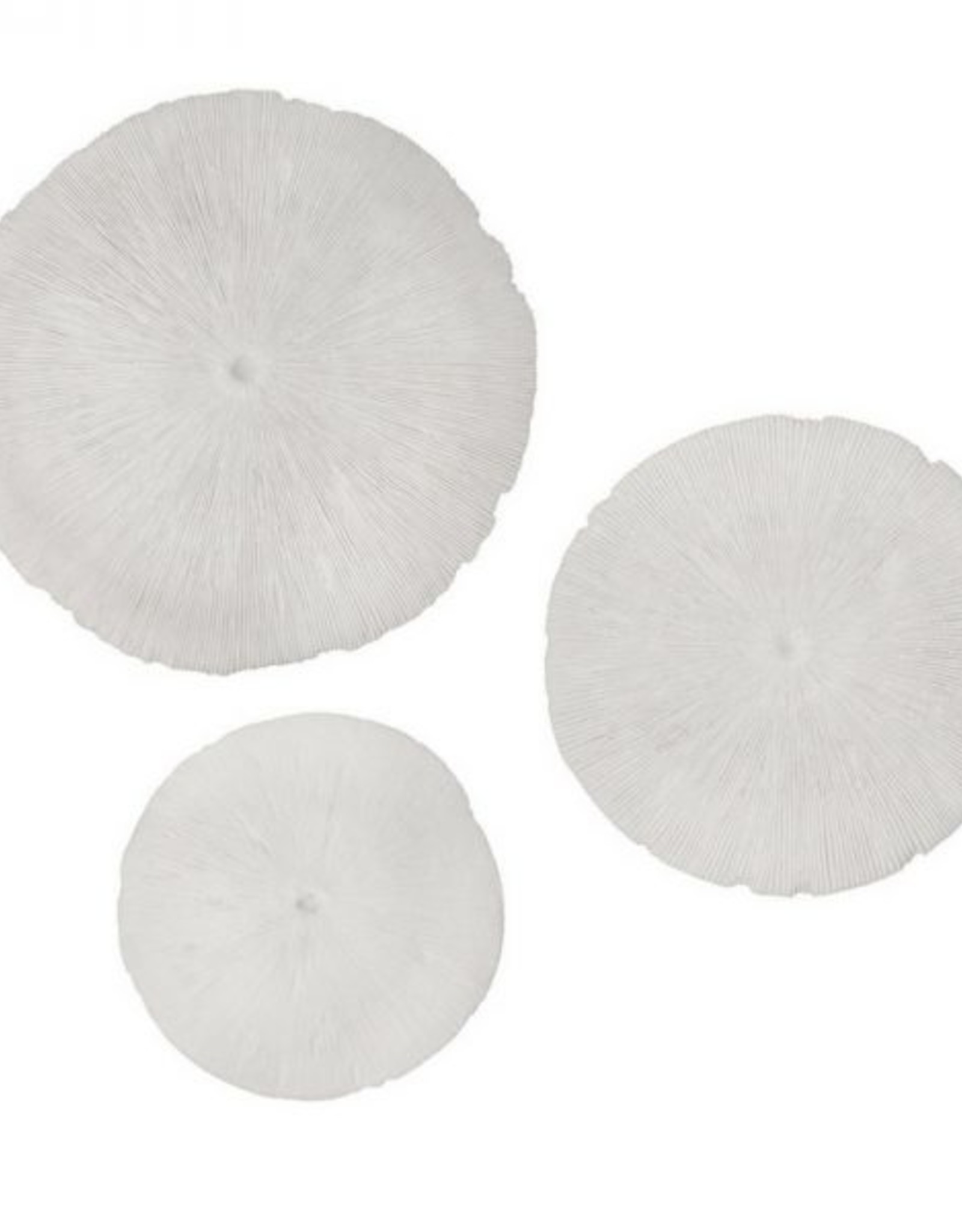 Style In Form SIF Sand Dollar Large