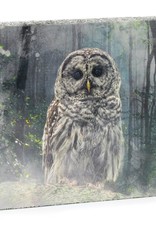 Cedar Mountain Cedar Mountain Art Block Forest Owl LF4318