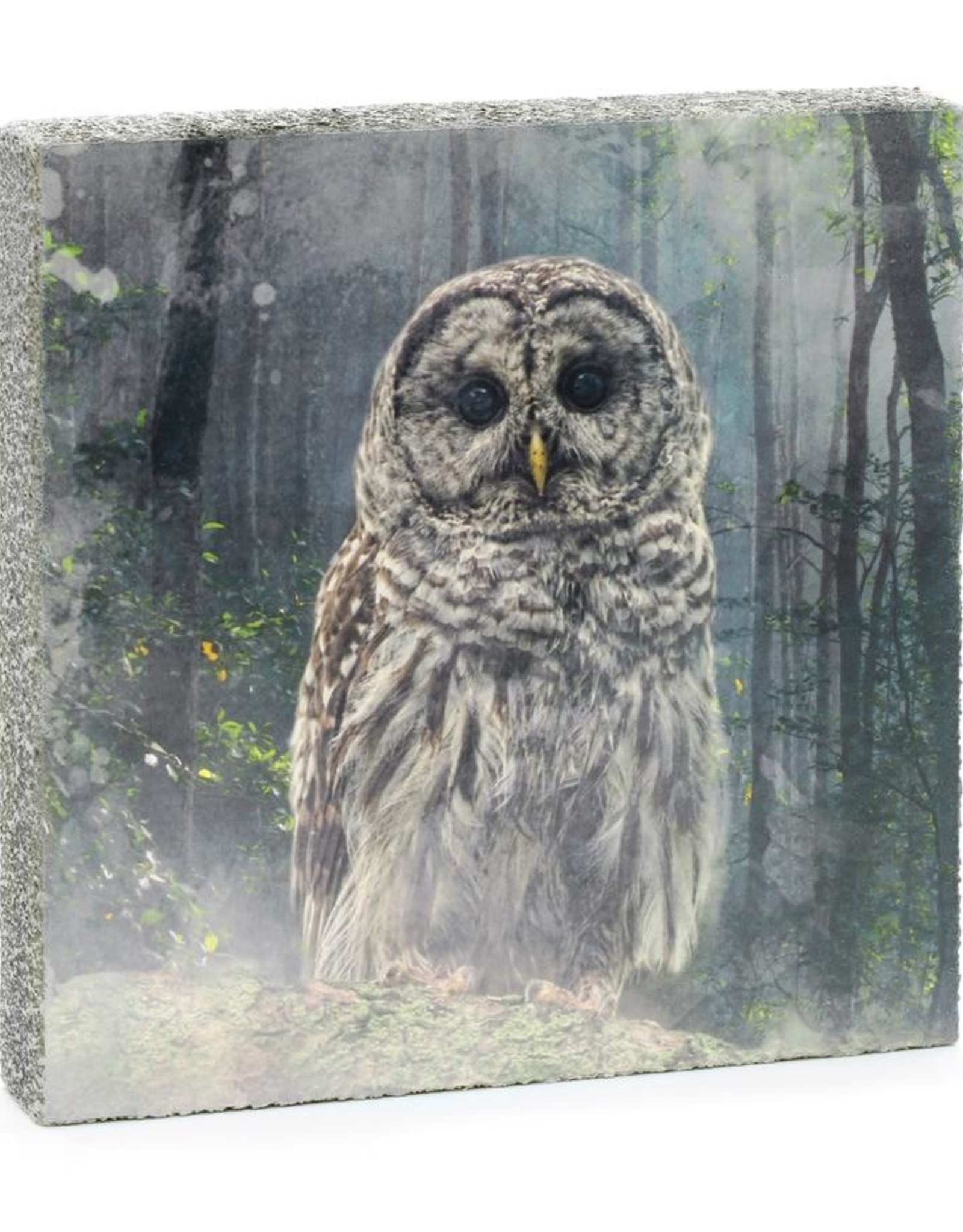 Cedar Mountain Cedar Mountain Art Block Forest Owl LF4318