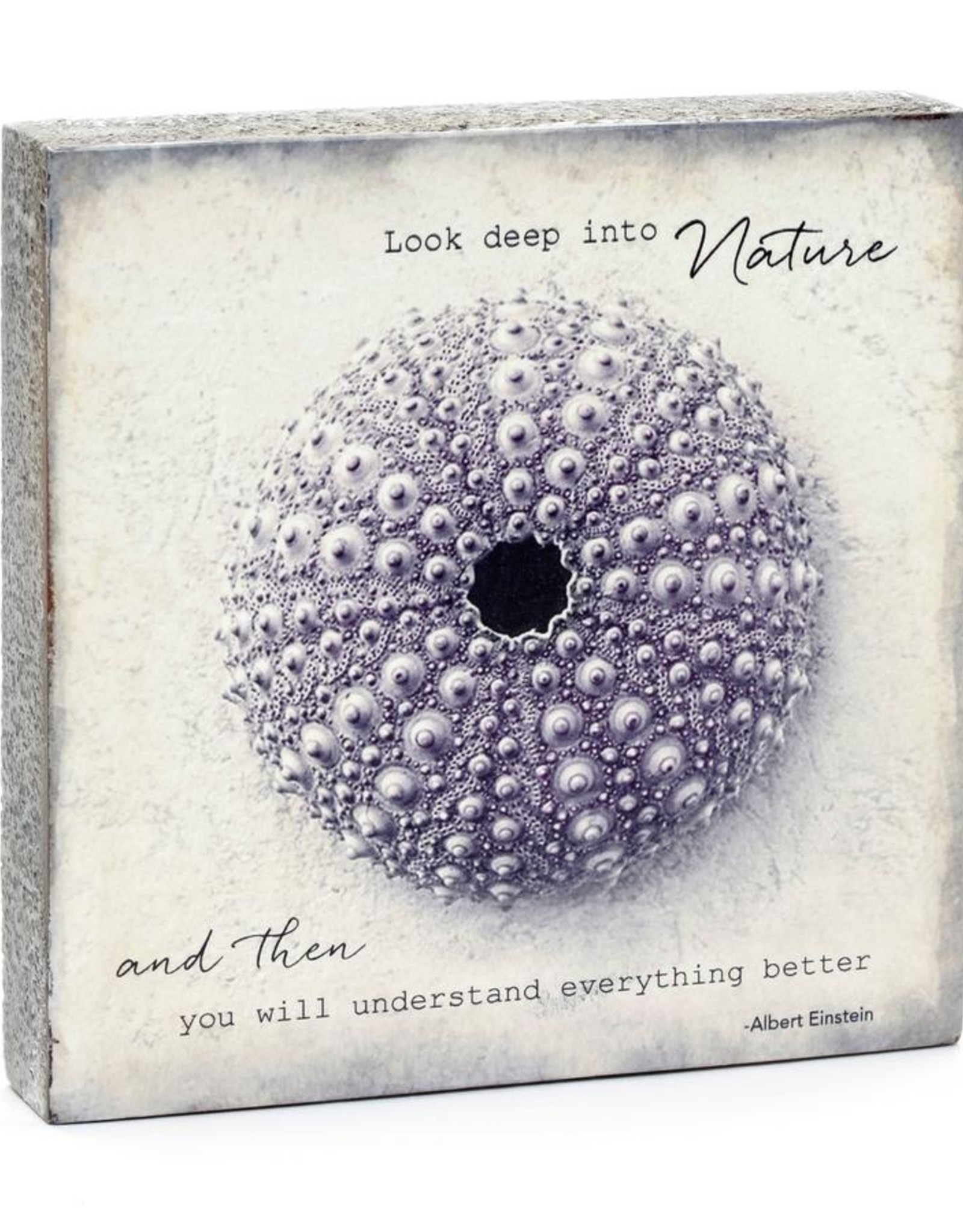 Cedar Mountain Cedar Mountain Art Block Look Deep Into Nature LF5241
