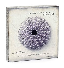 Cedar Mountain Cedar Mountain Art Block Look Deep Into Nature LF5241