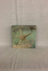 Cedar Mountain Cedar Mountain Art Block Starfish