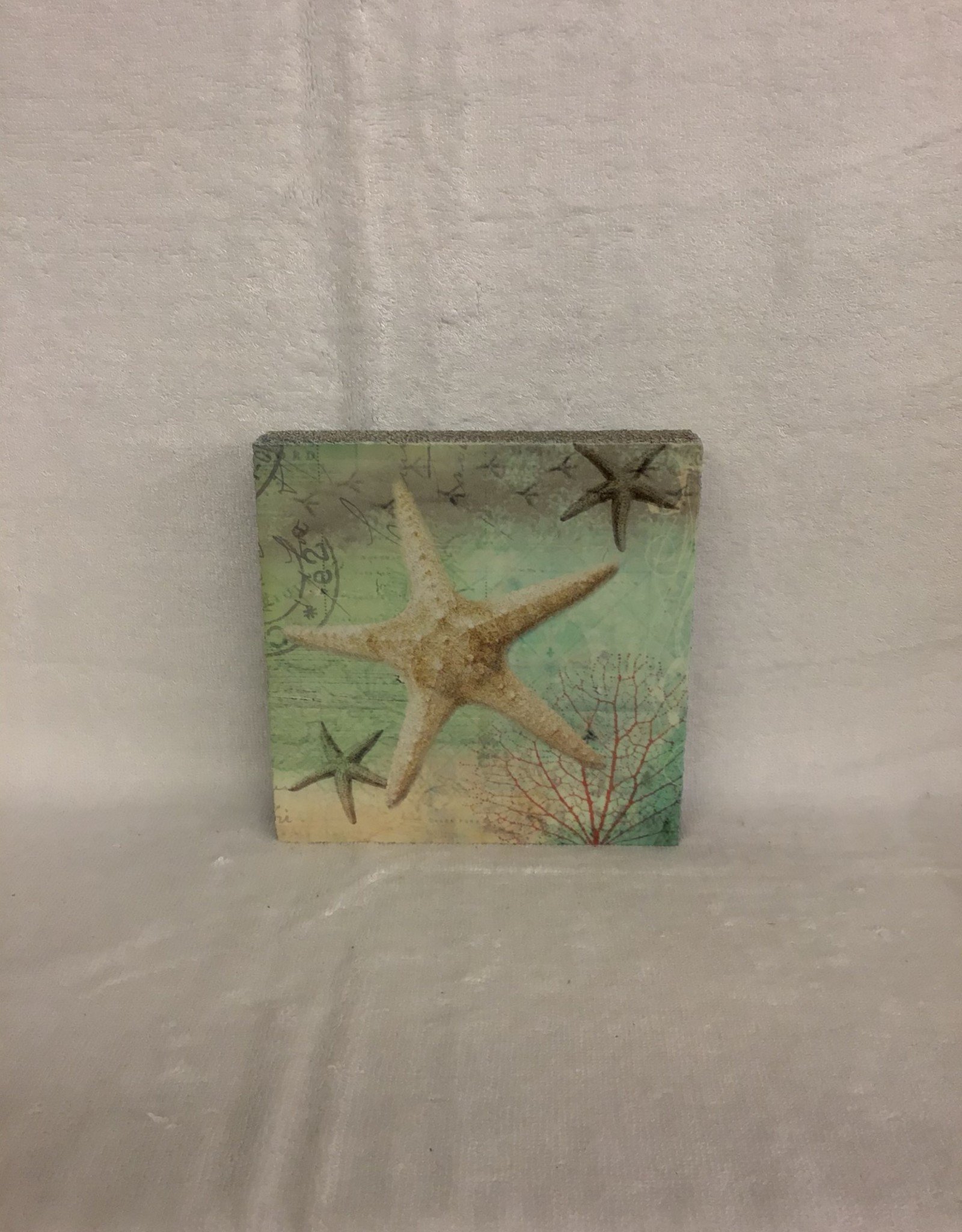 Cedar Mountain Cedar Mountain Art Block Starfish