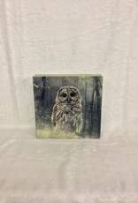 Cedar Mountain Cedar Mountain Art Block Forest Owl LF4318