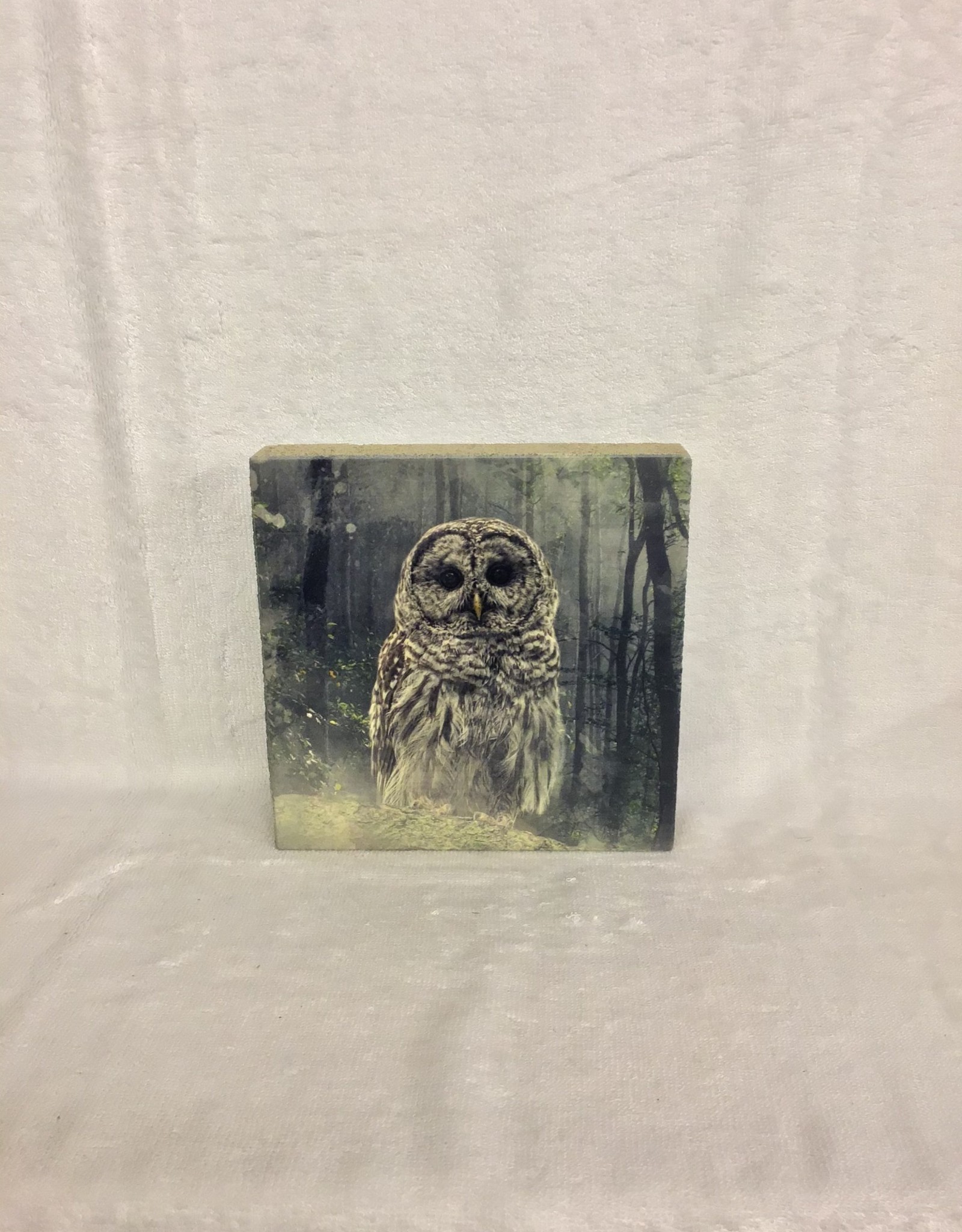 Cedar Mountain Cedar Mountain Art Block Forest Owl LF4318