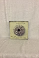 Cedar Mountain Cedar Mountain Art Block Look Deep Into Nature LF5241