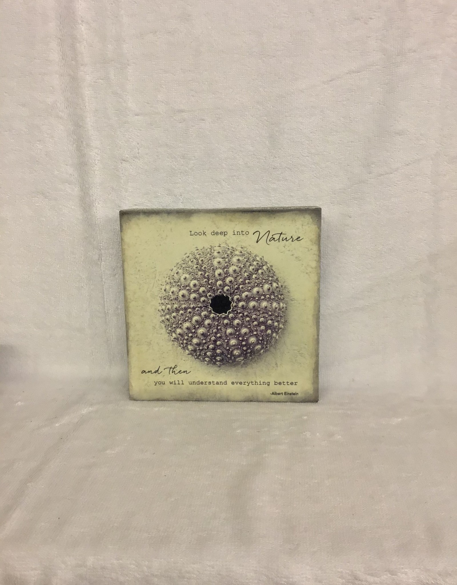 Cedar Mountain Cedar Mountain Art Block Look Deep Into Nature LF5241