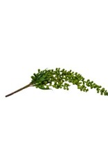 Nostalgia Greenery Nostalgia 778-028